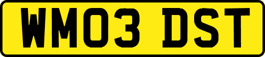 WM03DST