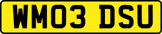 WM03DSU