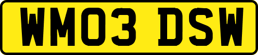 WM03DSW