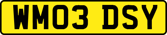 WM03DSY