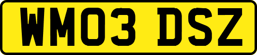WM03DSZ