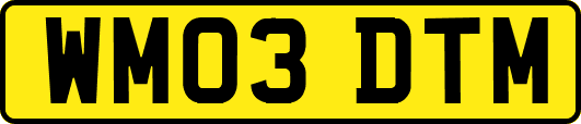 WM03DTM