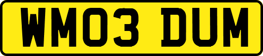 WM03DUM
