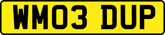 WM03DUP