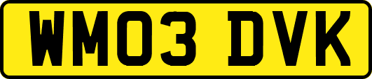 WM03DVK