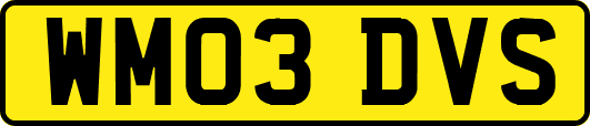 WM03DVS