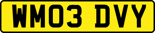WM03DVY