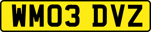WM03DVZ