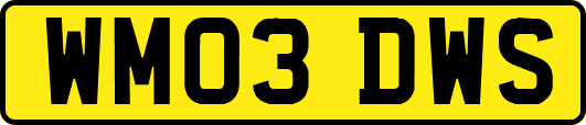 WM03DWS