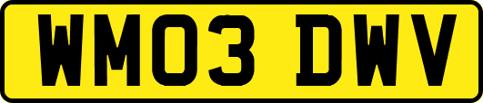 WM03DWV