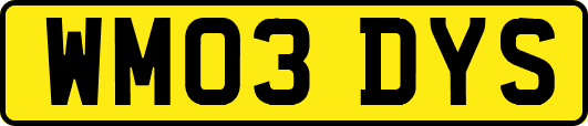 WM03DYS