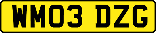 WM03DZG