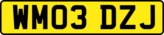 WM03DZJ