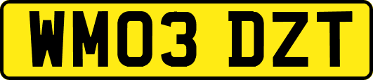 WM03DZT