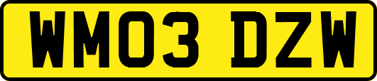 WM03DZW