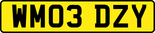 WM03DZY
