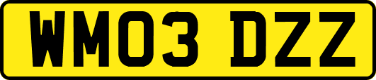 WM03DZZ