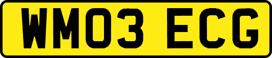 WM03ECG