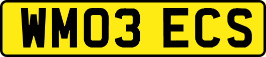 WM03ECS