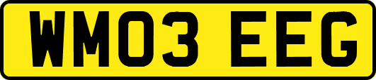 WM03EEG