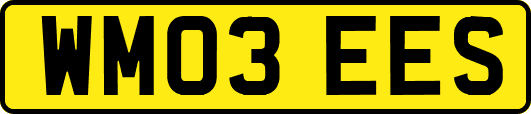 WM03EES