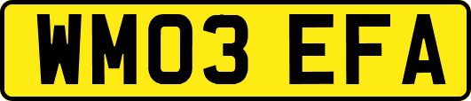 WM03EFA