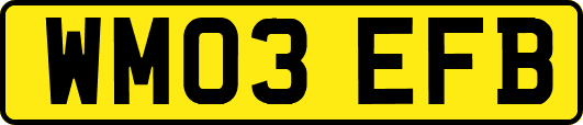 WM03EFB