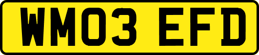 WM03EFD