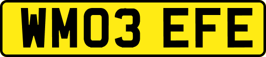 WM03EFE