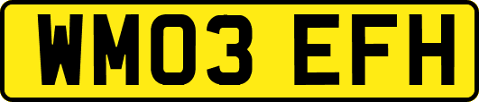 WM03EFH