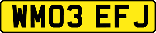 WM03EFJ