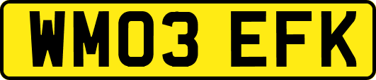 WM03EFK