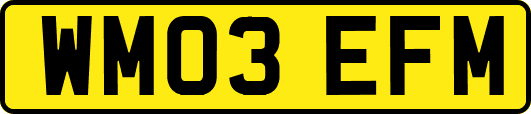 WM03EFM