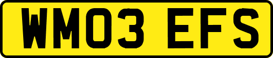 WM03EFS