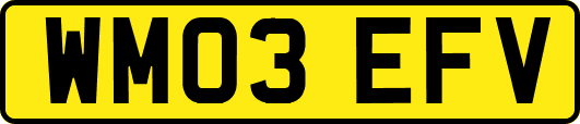WM03EFV