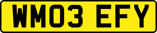 WM03EFY
