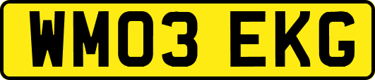 WM03EKG