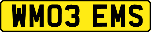 WM03EMS