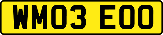 WM03EOO