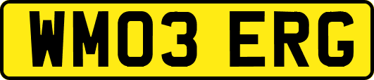 WM03ERG