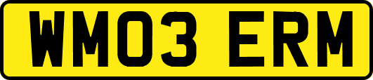 WM03ERM
