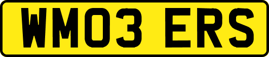 WM03ERS