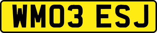 WM03ESJ