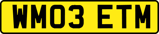 WM03ETM