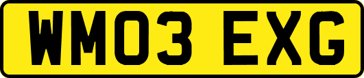 WM03EXG