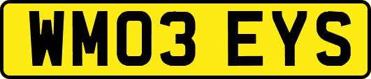WM03EYS