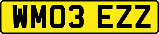 WM03EZZ