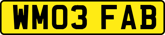 WM03FAB