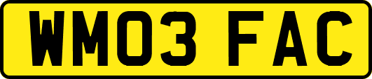 WM03FAC