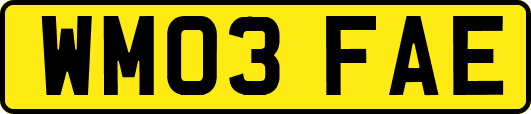 WM03FAE